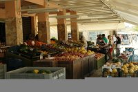 Kreta is in 2026 de culinaire hoofdstad van Europa