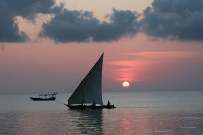 Zanzibar is het tropische eiland met een safari om de hoek